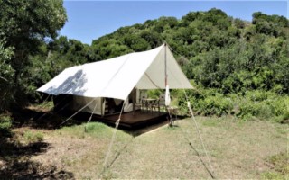 Amakhala Quatermain [320x200]